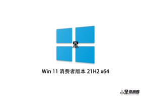 Windows 11 消费者版本 21H2 x64