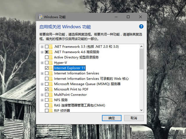 电脑有两个edge浏览器怎么办 win10系统默认设置里有两个edge浏览器的解决方法